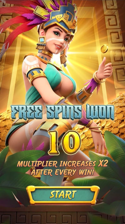 br6bet